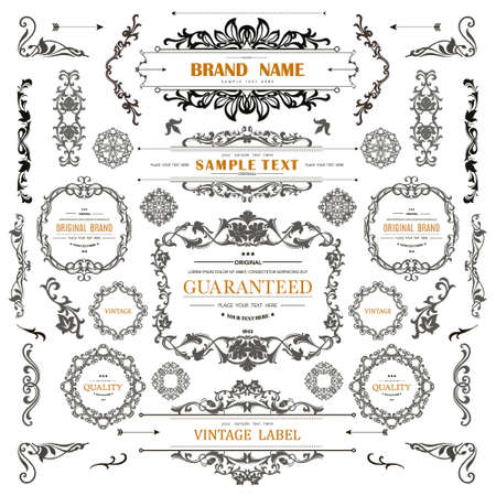 Set of Vintage Decorations Flourishes Elements.のイラスト素材