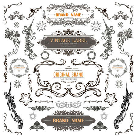 Set of Vintage Decorations Flourishes Elements.のイラスト素材