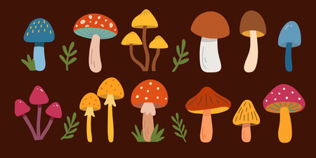 Set of Mushrooms. Autumn isolated mushrooms.のイラスト素材