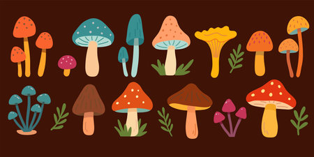 Set of Mushrooms. Autumn isolated mushrooms.のイラスト素材