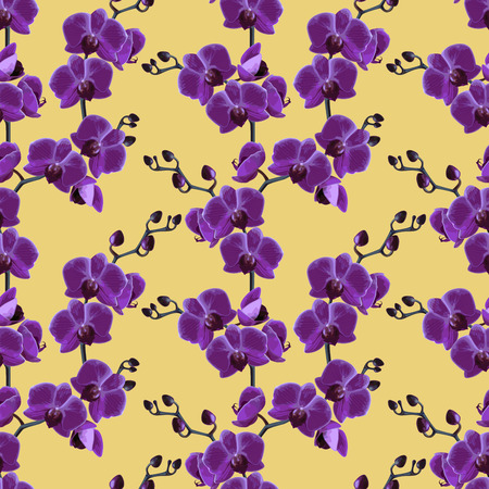 Beautiful violet tropical orchids flower.  Seamless pattern. Vector illustration.のイラスト素材