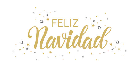 Feliz Navidad - Merry Christmas in Spanish text for card for your design. Golden text on a white background Vector illustration.のイラスト素材