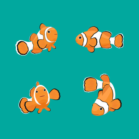 Clown fish isolated on green background, reef fish, vector illustration.のイラスト素材