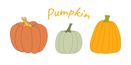 Set of pumpkins on a white background. Vector illustration in flat style.のイラスト素材
