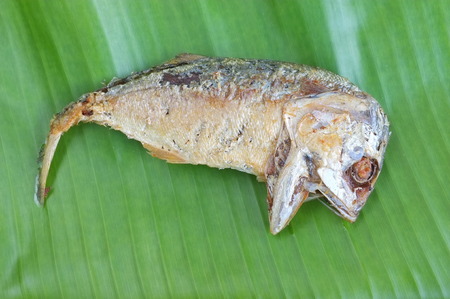 food of fried Rastrelliger on banana leafの写真素材