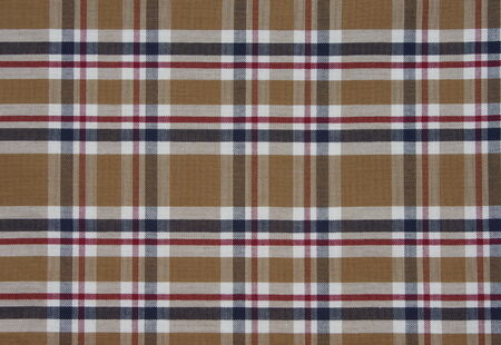 fabric Tartan pattern. Brown with red,white and blue