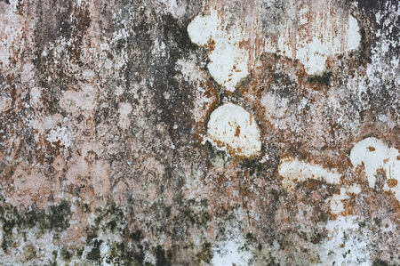 Old concrete wall stainsの写真素材