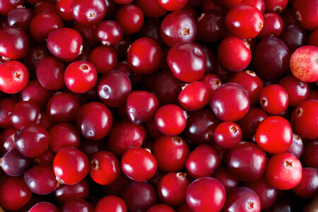 Red fresh cranberries background, close upの写真素材