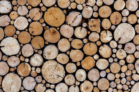 wood log pile backgroundの写真素材