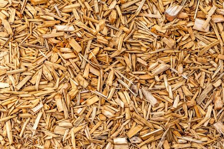 Wood chips used as floor coveringの写真素材