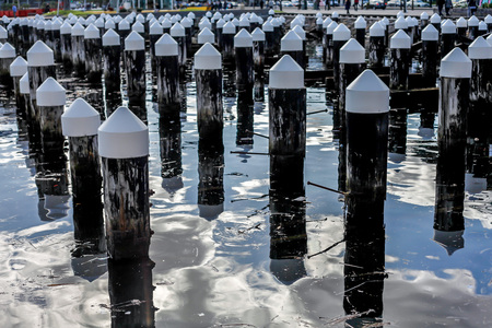 Wooden Pylon with white tips by the harbourの写真素材