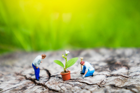 Miniature Greenhouse concept, miniature mini figures with planting tree and protect nature background. Replacement of old trees. Save the wolrd concept.の写真素材