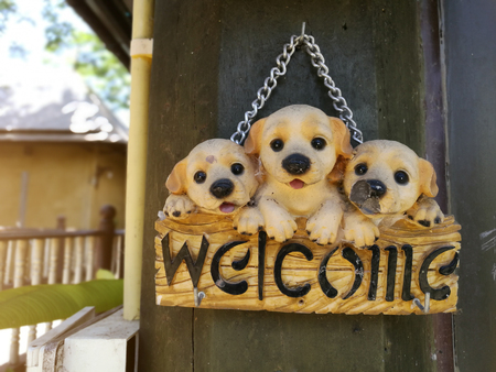 Old cute little dog holding label write WELCOME out of homeの写真素材