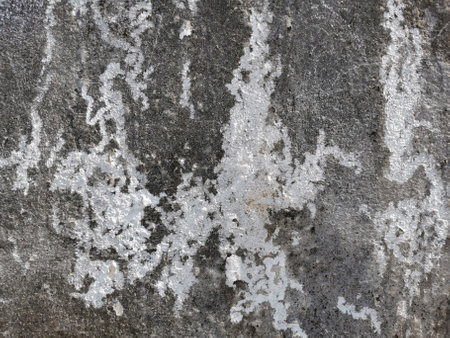surface of old cement wall for the design texture backgroundの写真素材