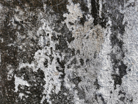 surface of old cement wall for the design texture backgroundの写真素材