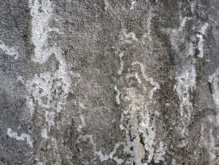 surface of old cement wall for the design texture backgroundの写真素材