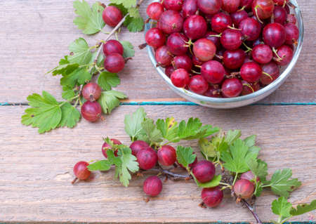 Gooseberry in a plate on a tableの写真素材