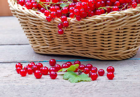 Basket of red currant on a tableの写真素材