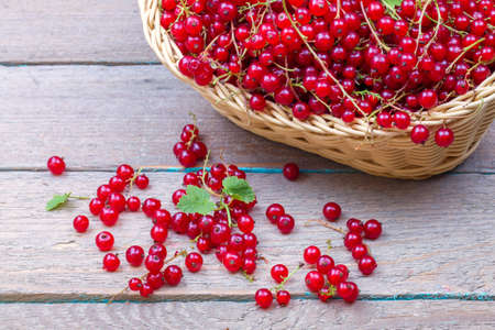 Basket of red currant on a tableの写真素材