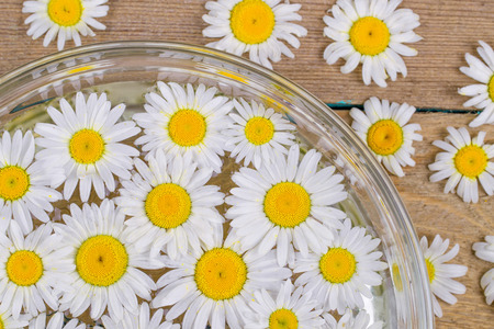 Chamomiles in a plate on a tableの写真素材