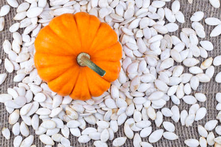 Closeup on small pumpkin and seeds on burlapの写真素材