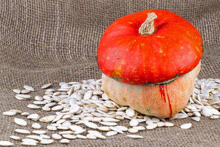 Closeup on small pumpkin and seeds on burlapの写真素材