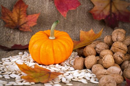 Close up on small pumpkin, walnut and seeds on burlapの写真素材