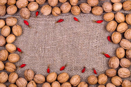 Background from walnuts and dogrose on burlap clothの写真素材