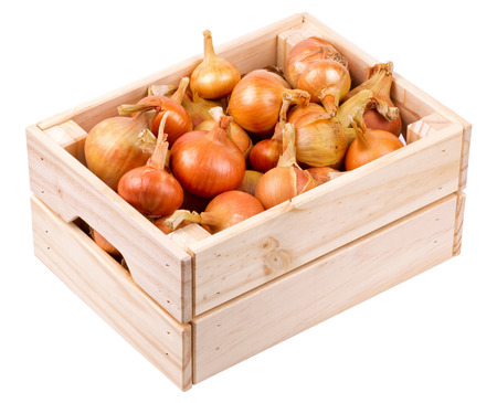 Onions in a wooden box the isolatedの写真素材