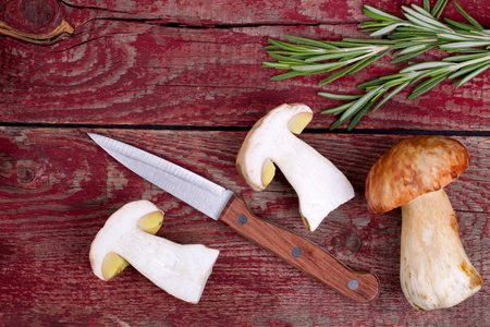 Crude cepes, knife and rosemary on a wooden tableの写真素材