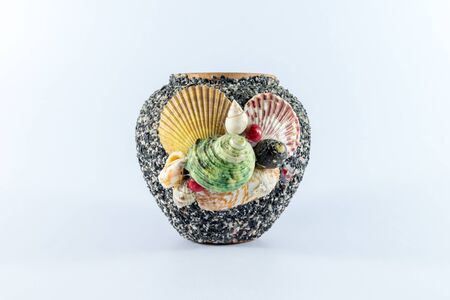 Seashells in isolated against a white background.