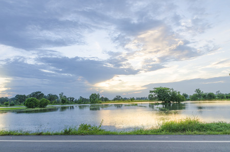 Sky landscape, water, trees, grass and roadの写真素材