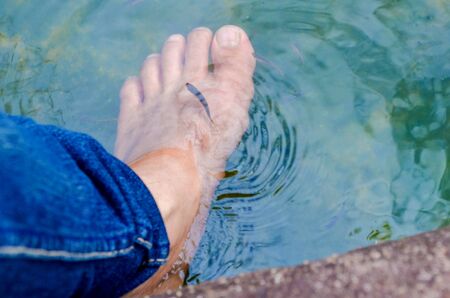 Fish spa in a beautiful blue waterの写真素材