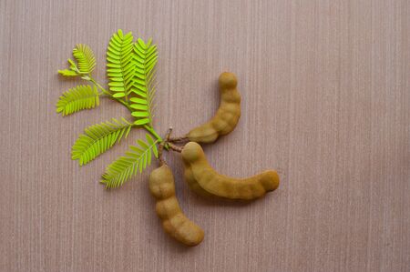 Green leaf and Tamarind on a wooden floor. , closeupの写真素材
