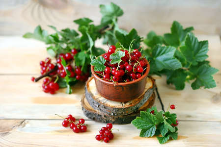 Selective focus. Red currants in a bowl. Red currant leaves. Summer fresh berries.