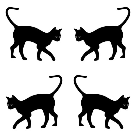 black cat silhouette vector background, isolated on whiteのイラスト素材