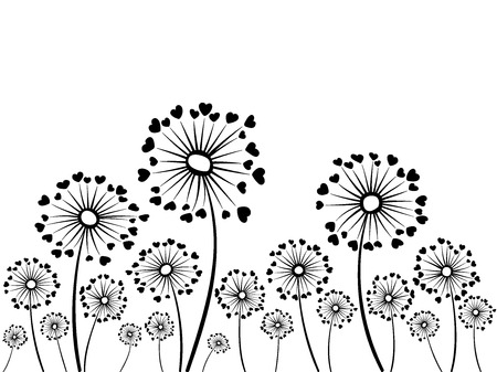 Black and white vector dandelion herbs.のイラスト素材