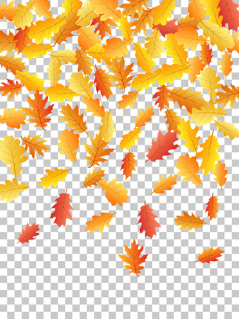 Autumn leaves falling down vector illustration. Red, yellow, orange and brown dry oak tree leaves background autumn pattern on transparent background. Foliage decorative thanksgiving background.のイラスト素材
