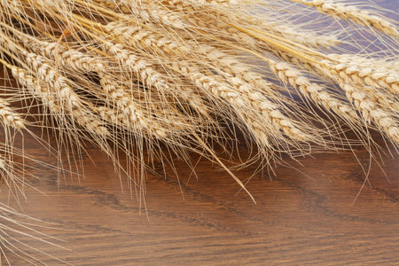 wheat wood outdoor top view