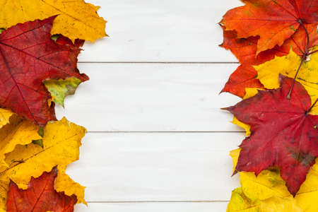 Top view of yellow, red ,green leaf on wooden background with copy space. Autumn time.の写真素材