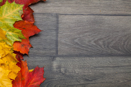 Top view of yellow, red ,green leaf on wooden background with copy space. Autumn time.