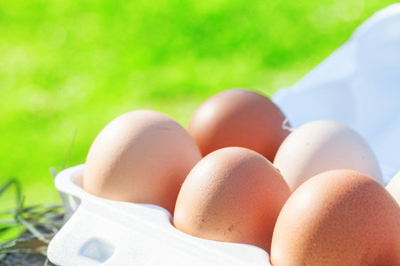 Chicken eggs , outdoor, green natural background, white packing