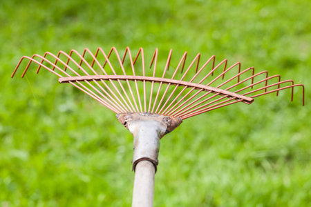 rake garden, natural green background, outdoor