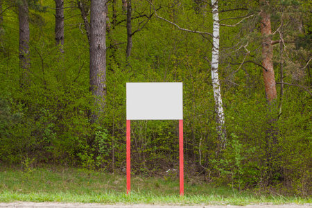 Sigh post, board with empty space on nature background. Summer, Spring, Forest.の写真素材