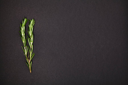 Useful herbs,  Rosemary.の写真素材