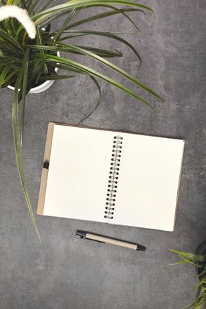 Notebook on a gray background with branch green leaves, top view. Flat lay.の写真素材