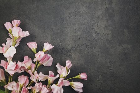 Beautiful flowers on grunge dark background. Close up.の写真素材