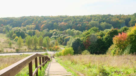 Hiking trail a walking trail in a wild green autumn forest on a Sunny morning. Russiaの写真素材