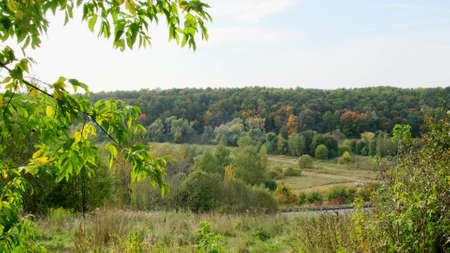Panorama of a Black forest with a blue sky.の写真素材