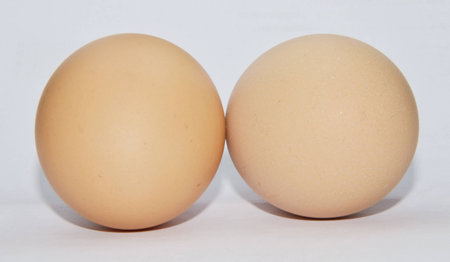 double brown chicken egg isolated on whiteの写真素材